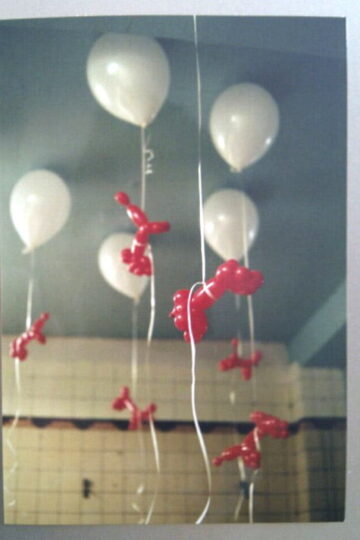 Product + verzend speciaal