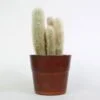 bruine bloempot