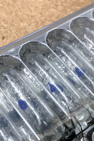 Polaroid Flashbar 600 Revue