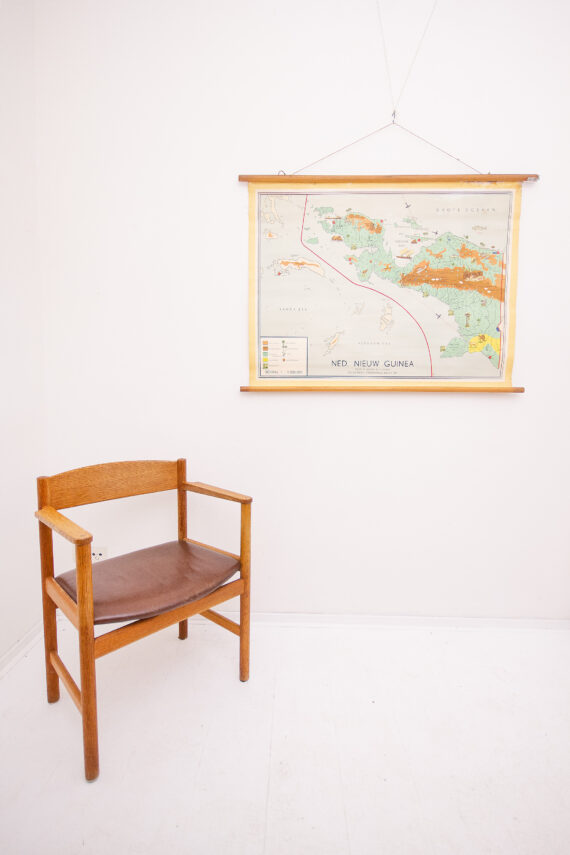 Wandkaart Nederlands Nieuw Guinea
